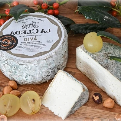 Àvid
