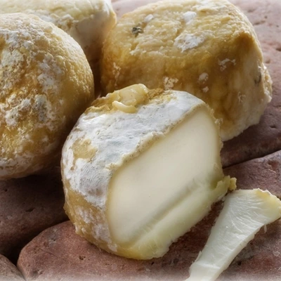 Crottin de Chavignol