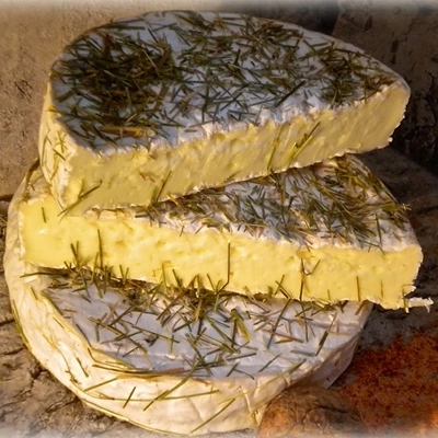 Feuille de Sauge