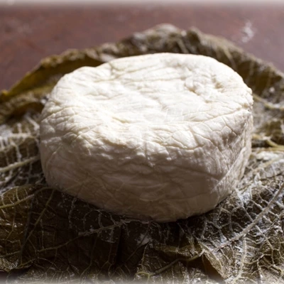 Hoja Santa