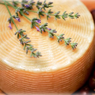 Pozo Tomme