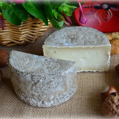 Rocallisa