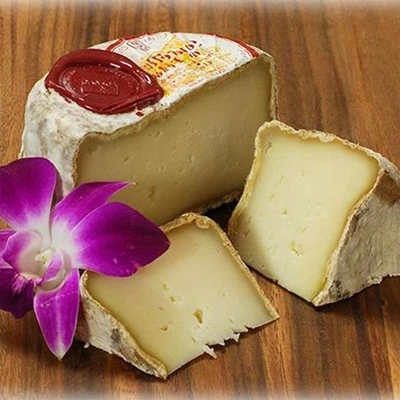 Souréliette de Fédou